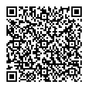 端木行空丝毫没有询问楚暮在地宫之内到底发生了什么事情导致他比其他人更慢一段时间离开地宫二维码生成