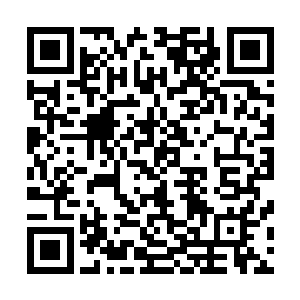 端过一旁的笸箩帮着张伯把药末里的草梗和一些碴子挑出来二维码生成
