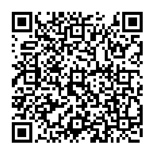 竹野健太自然就开始轻轻的拦下了刚刚各自享用完了一片手指长的鱼片的一家四口人二维码生成