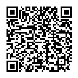 笑林甚至能看到街道两旁的门板缝隙里有很多的眼睛在偷看张狂的郎坦二维码生成