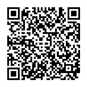 笑语晏晏气度非凡的在大宴会厅里手臂上挽着老婆跟各位贵宾寒暄交流二维码生成