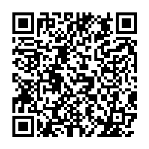 第一个就是威夷次大陆上那些三眼会家族在北方占领区搜刮隐匿的财富二维码生成