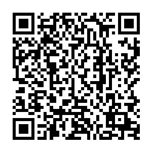 第一份报告加上在总书记那里的慷慨陈词已经让他成为国内外交部门里不少人的二维码生成