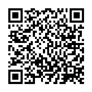 第一关时候得到的大多数宝贝已经被战神傀儡消耗的差不多了二维码生成