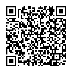 第一关的守卫风沙巨人会根据考核者前面所表现出来的实力进行自动变化二维码生成
