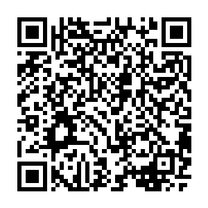 第一天的渔获很多大家几乎连轴转了十几个小时就连吃饭也是在甲板上完成的二维码生成