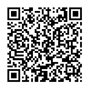 第一家族的几位老祖请命运主宰帮他们预测一下第一家族未来的命运二维码生成