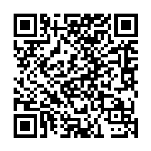 第一张符宝就极为流畅地从符笔尖端流淌到妖兽的毛皮上二维码生成