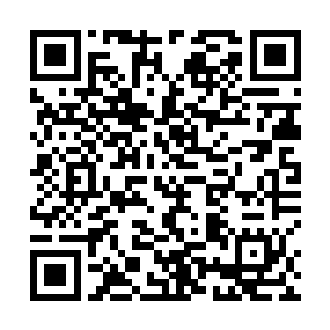 第一次大比挑战的就是当时海公子门下战力第一的简弥二维码生成
