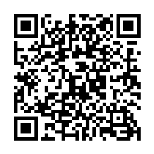 第一次对自己家这位纨绔少爷生出了一种看不透的心思二维码生成