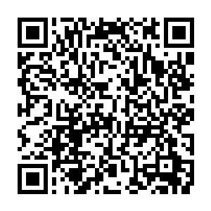 第一次来是我的一个朋友在推特上说到了富朗阿岛就像是到了伊甸园似的二维码生成