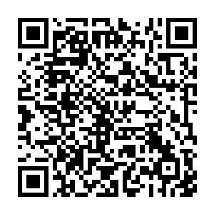 第一次见到长缨太子发这么大的火的房先生心中暗暗涌起一丝惊叹二维码生成