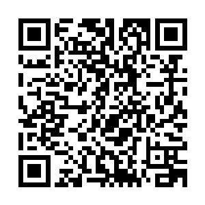 第一百七十一章再陪你玩会匹匹逗润赞持闻养定定昵赋光合确功二维码生成