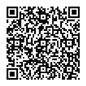 第一舰队的副旗舰海德拉号带领着十一舰战舰悄然的绕道钻进了危险的小行星带中……二维码生成