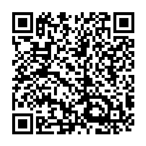 第一道影像上面上演的是商家的三长老和其他几大长老在研究如何弄死夏天二维码生成