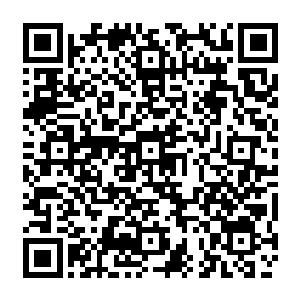 第三个层面是经济层面――主要集中在网络文学盗版给整个行业带来的巨大损失上二维码生成