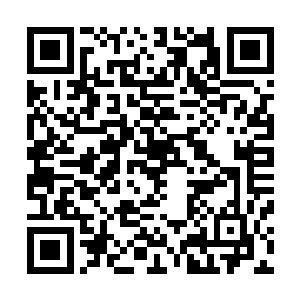 第九师在蔡锷与林啸的指挥下开始了对第十二镇的疯狂进攻二维码生成