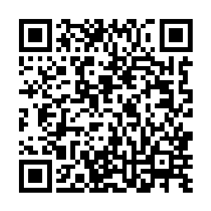 第二代圣战的顶梁柱是堕落巨人和上位精灵中的月精灵二维码生成