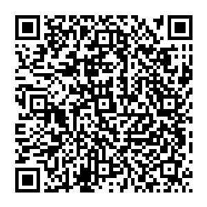 第二件是就是收一个好徒弟……这个事情就不是那么好评价的了……好徒弟的评价标准也是不一样的二维码生成