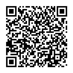 第二名到第十名每一次名次所斩杀妖兽的数目差距最大还没达到两百二维码生成