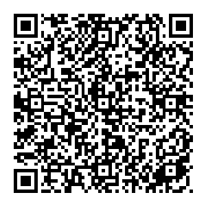 第二天按道理來说 将会是佣兵们离开佣兵之城的日子 可是神奇的是 整个佣兵之城大门口 沒有一个佣兵往外走二维码生成