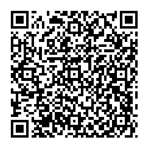 第二天的小型媒体招待会安排在了关中村内距离大唐世子科技公司总部并不远的一家五星酒店提供的中型会议室内二维码生成