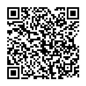 第二年上半年他又和卡卡一起帮助圣保罗成为了南美解放者杯冠军二维码生成