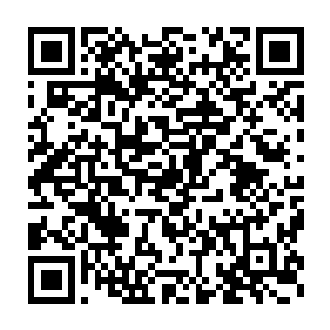 第二日清早起来李鸾儿洗漱完之后就扮作一个小娘子的模样到街上转悠二维码生成