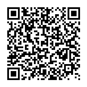 第二本源立即出现在自己的肩膀上开始吸收这些源源不断的信仰之力二维码生成