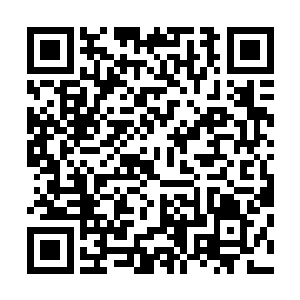 第十二轮就在这样一种火爆却又没什么悬念的氛围中过去了二维码生成