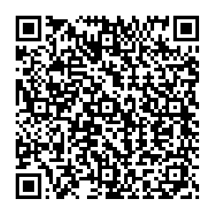等下老夫再来介绍……现在老夫手中拿的这块玉盒中装着的正是沈凡放在本拍卖行的压轴物品二维码生成