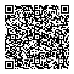 等他们看到赵纯良和泽梅尔还有艾尼莎三人一起走下车的时候 那更是惊讶的无以复加了 为什么这三人 可以坐着王室的马车來王宫二维码生成