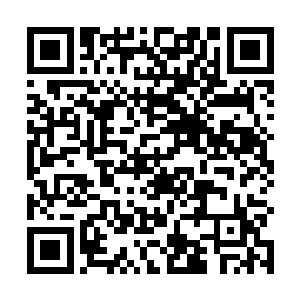 等会走的时候每人一套我堆在家里派不出去的厂商赠品二维码生成