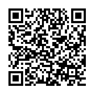 等到将书信看完以后林封谨见到此人病情差不多都已经稳定下来二维码生成