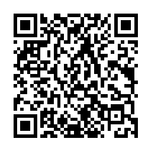 等到李幼君和萧樱在探讨全市旅游业发展的下一步规划时二维码生成