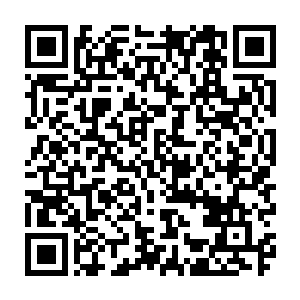 等到自己升上金丹期再收拾她――以单灵根的资质加上修行速度快的功法二维码生成