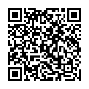 等到金不凡他们离开了也见不到李海涛和他的手下出来二维码生成