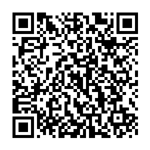等她离开这个朝代时他便在皇宫的养心殿里专门建造一扇大大的落地窗二维码生成
