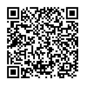 等当中的一辆车子上下来一个秘书模样戴着眼镜的军官替他们打开车门二维码生成