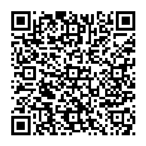 等有一天到了某一界他们的能力无法继续支撑他们向上前进的时候他们也就停下来了二维码生成