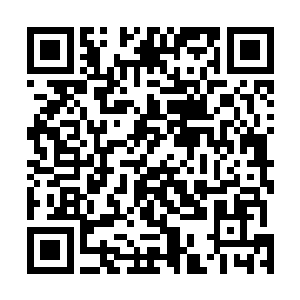 等苏珠珠几乎要哭了似得被老者一刀杀猪般划出一条血口二维码生成