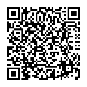 等长风商团给自己一个交代――商团派来保护自己的人为什么会暗算自己二维码生成