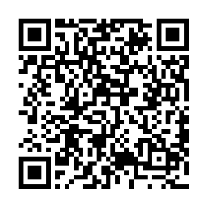 筋斗云以极高的速度狠狠地撞击在了一面无形的仿佛罩上二维码生成