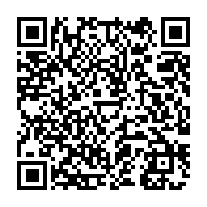 简单听了张生介绍情况后就带人采集了刘三叔和刘大婶的血液样本拿去化验二维码生成