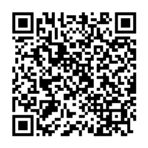 简单来说使用这种种子种植出的大米不但具备传统转基因作物抗虫害二维码生成