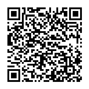 简单来说就是根本没想过蓝世能够在苏叶潜意识之下有什么好发挥二维码生成