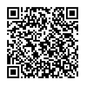 简单的说就是用神经连接系统直接让人的大脑与自己设定的网络进行连接二维码生成