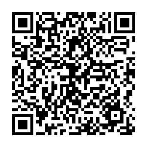简直会让人有一种行走在船舶和巨舰所组成的钢铁森林中的那种感觉二维码生成