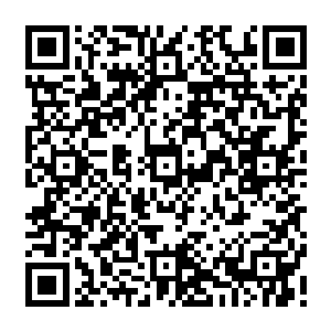 简直是在用1183条活生生的生命写成的告诉你如何最后可以活着离开潜龙堂的教科书二维码生成