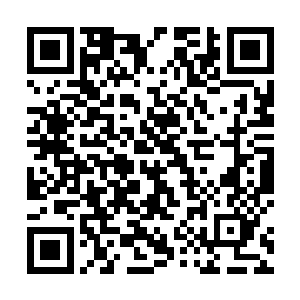 简简单单几拳就将尸魔教和尸魔教占据的海岛轰成粉碎二维码生成